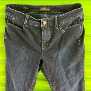 EUC Talbots Petites Flawless Five-Pocket Dark Blue Skinny Straight Jeans Size 6p